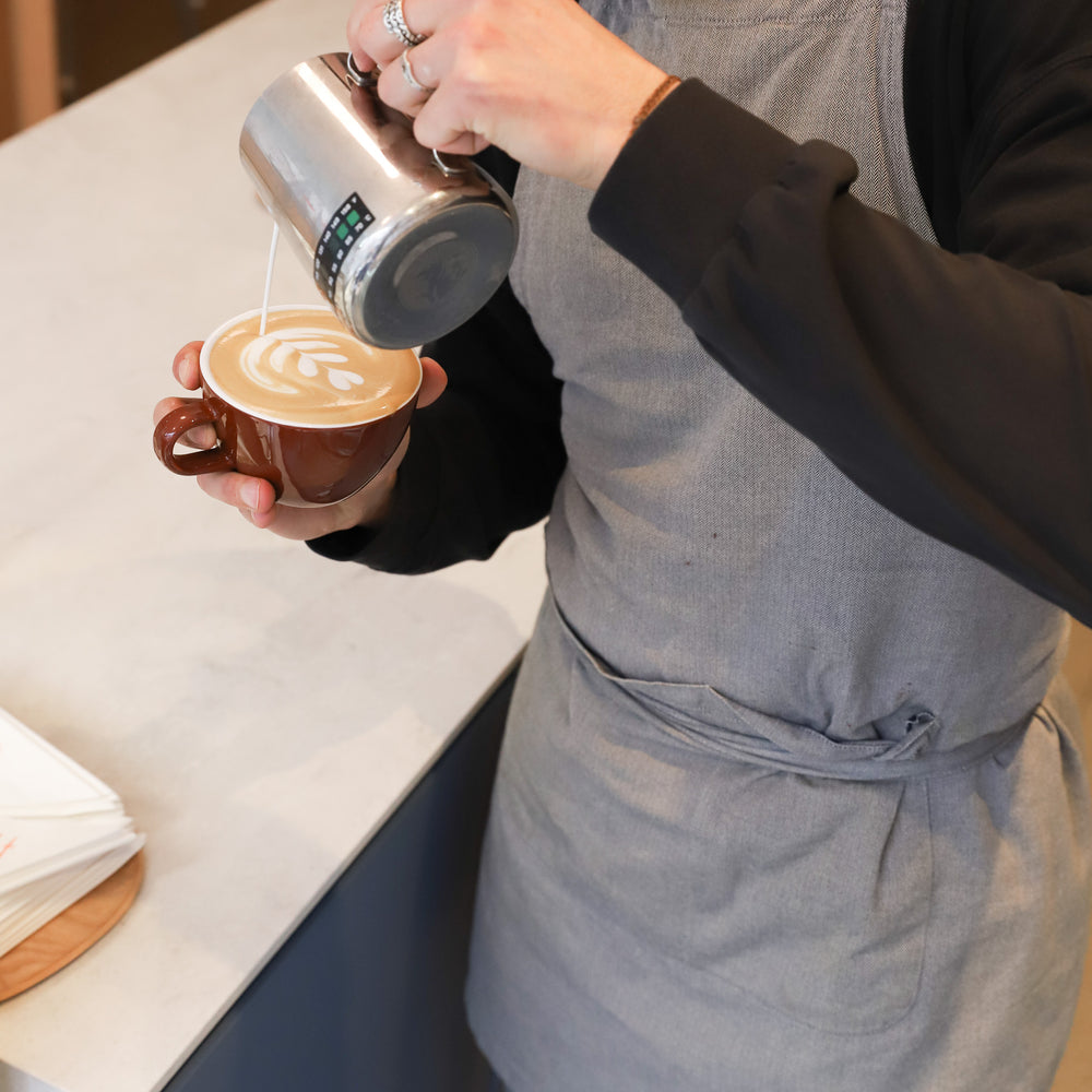 Beginner Latte Art Workshop